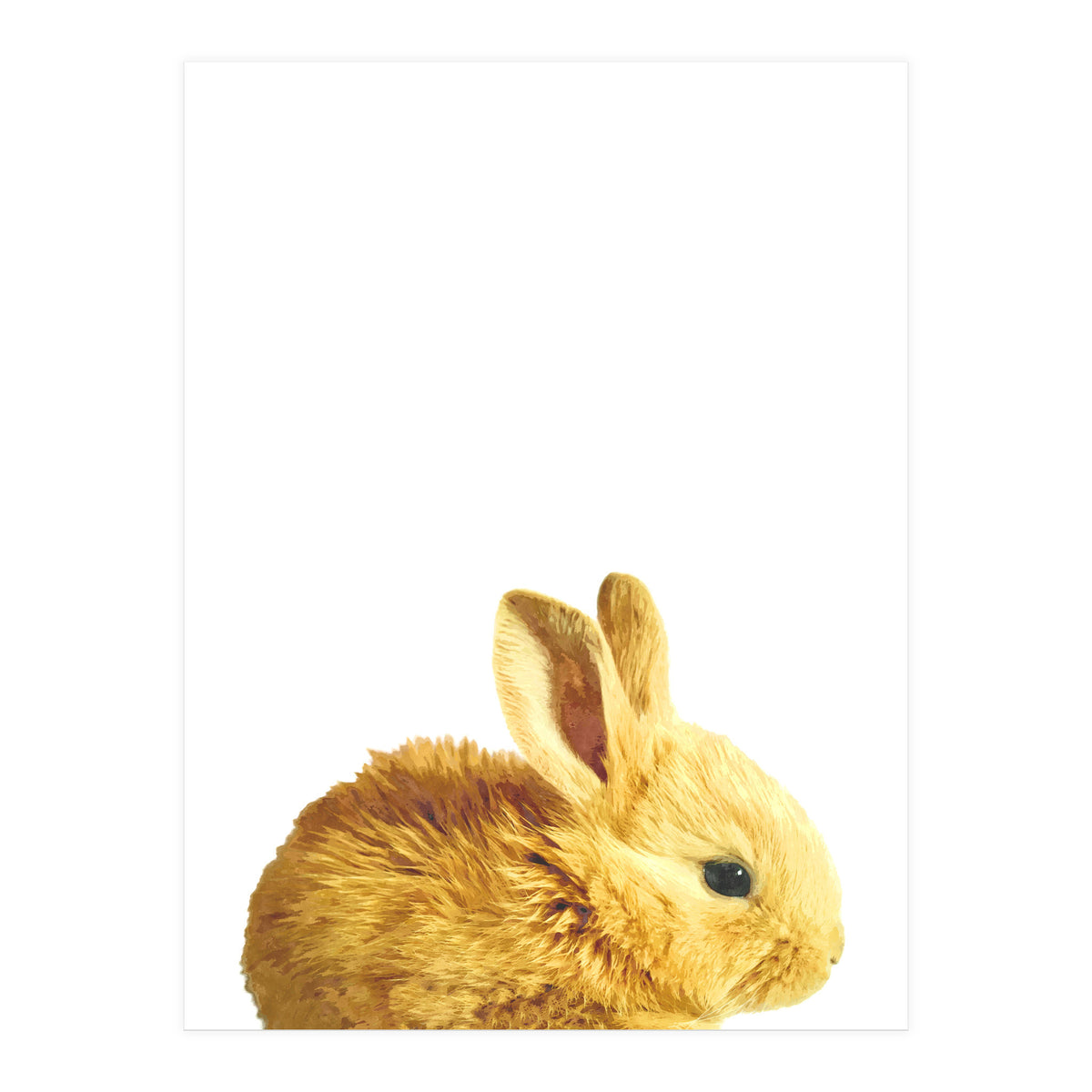 Bunny Portrait (Print Only)