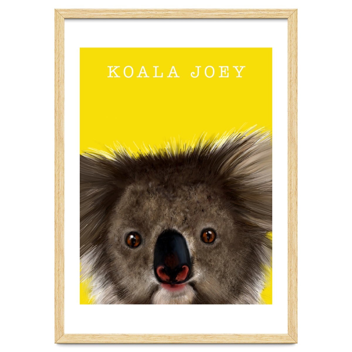 Koala Joey
