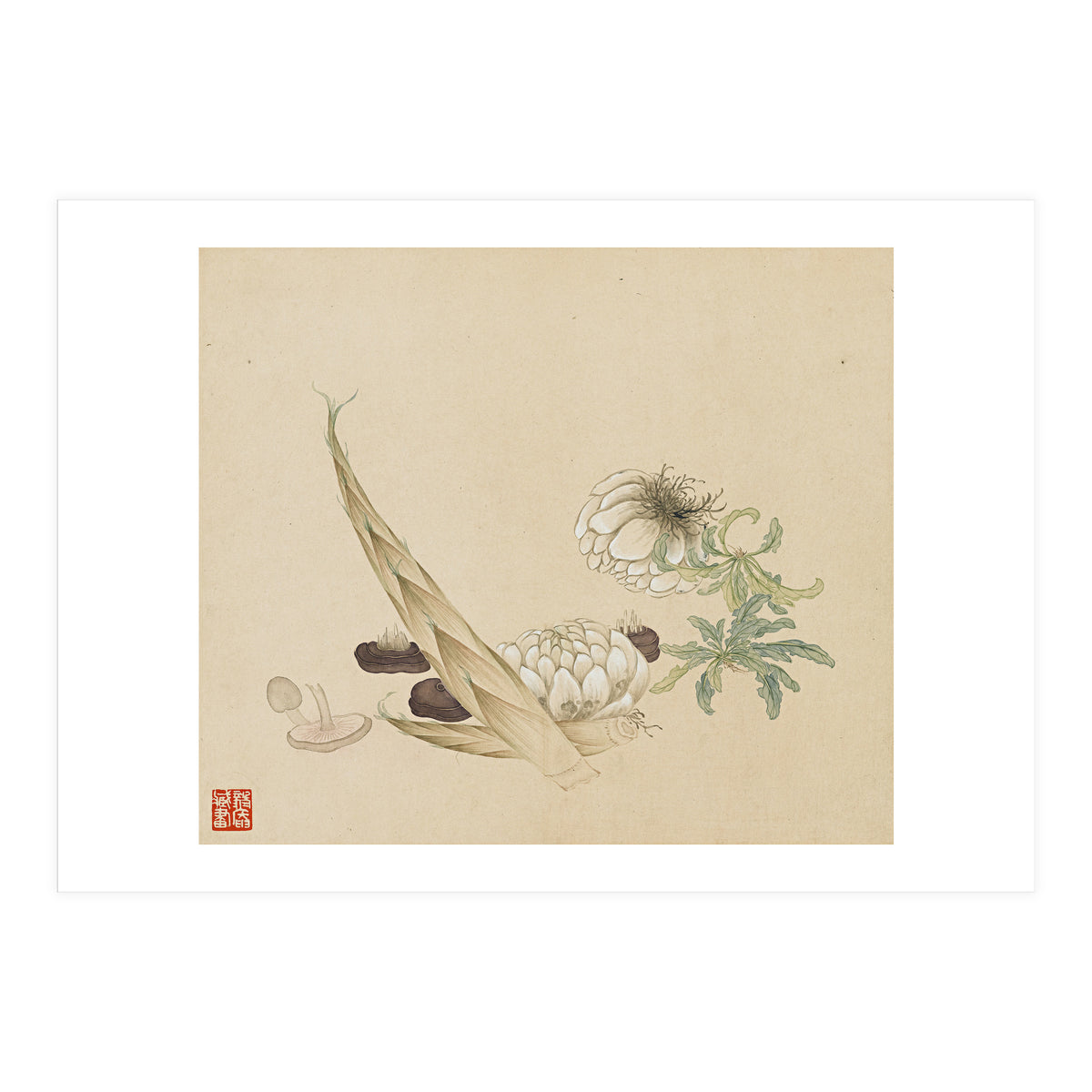 Wang Chengyu ~flowers, Vegetables, Lilies, Bamboo Shoots, Leaves, Mushrooms, Vegetables (Print Only)