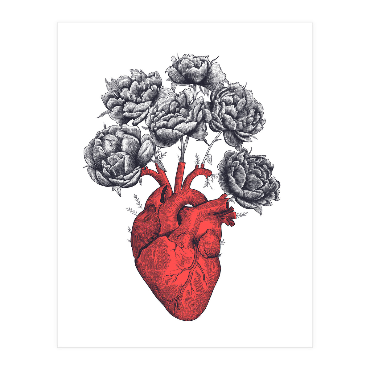 Heart With Peonies (Print Only)