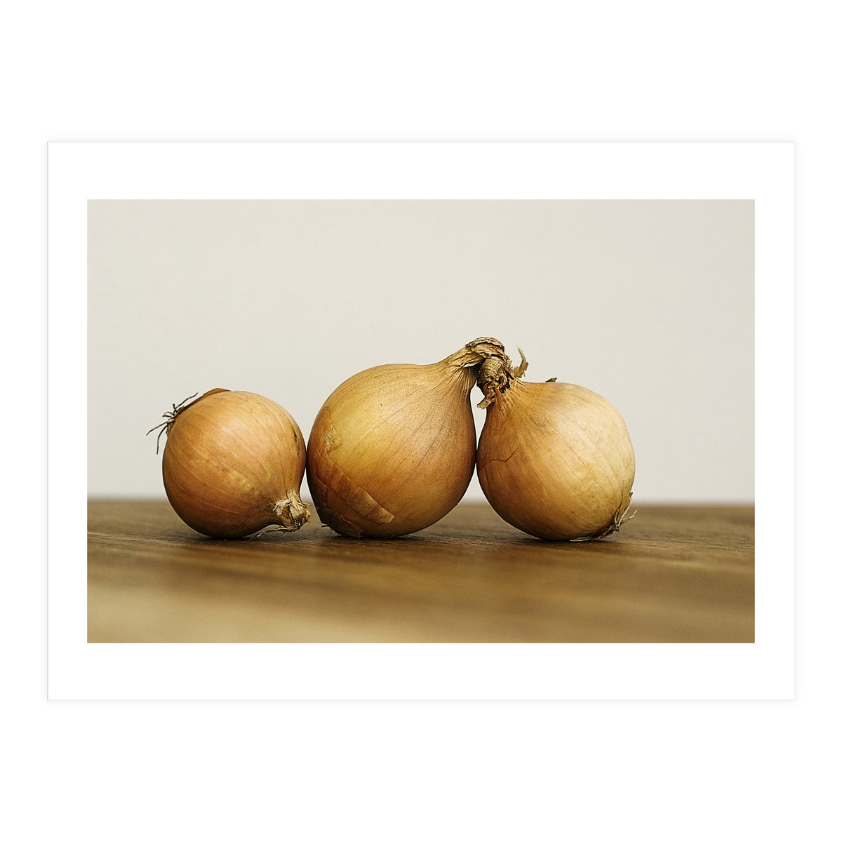 Onions (Print Only)