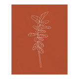 Line Art Botanical Terracotta (Print Only) thumbnail