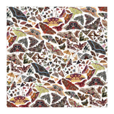 Moths of North America Pattern (Print Only) thumbnail