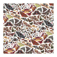 Moths of North America Pattern (Print Only)