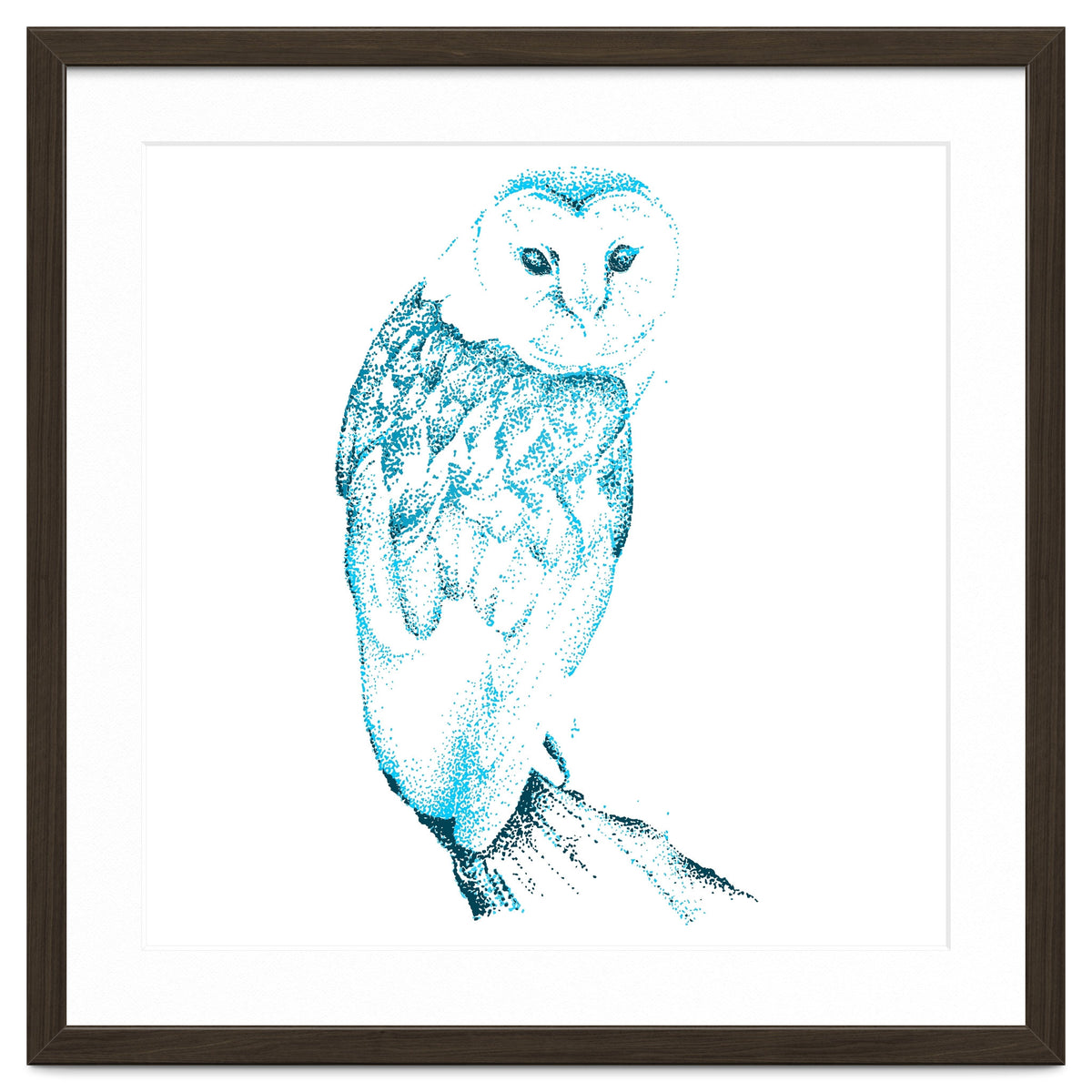 Barn Owl in Teal