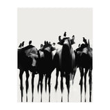Bufalo  (Print Only) thumbnail
