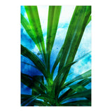 Remixed Spirit V1 (Print Only) thumbnail