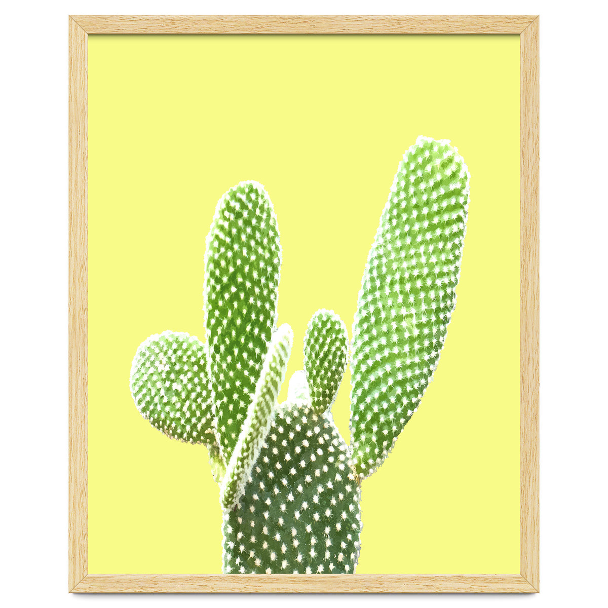 Cactus Yellow Background