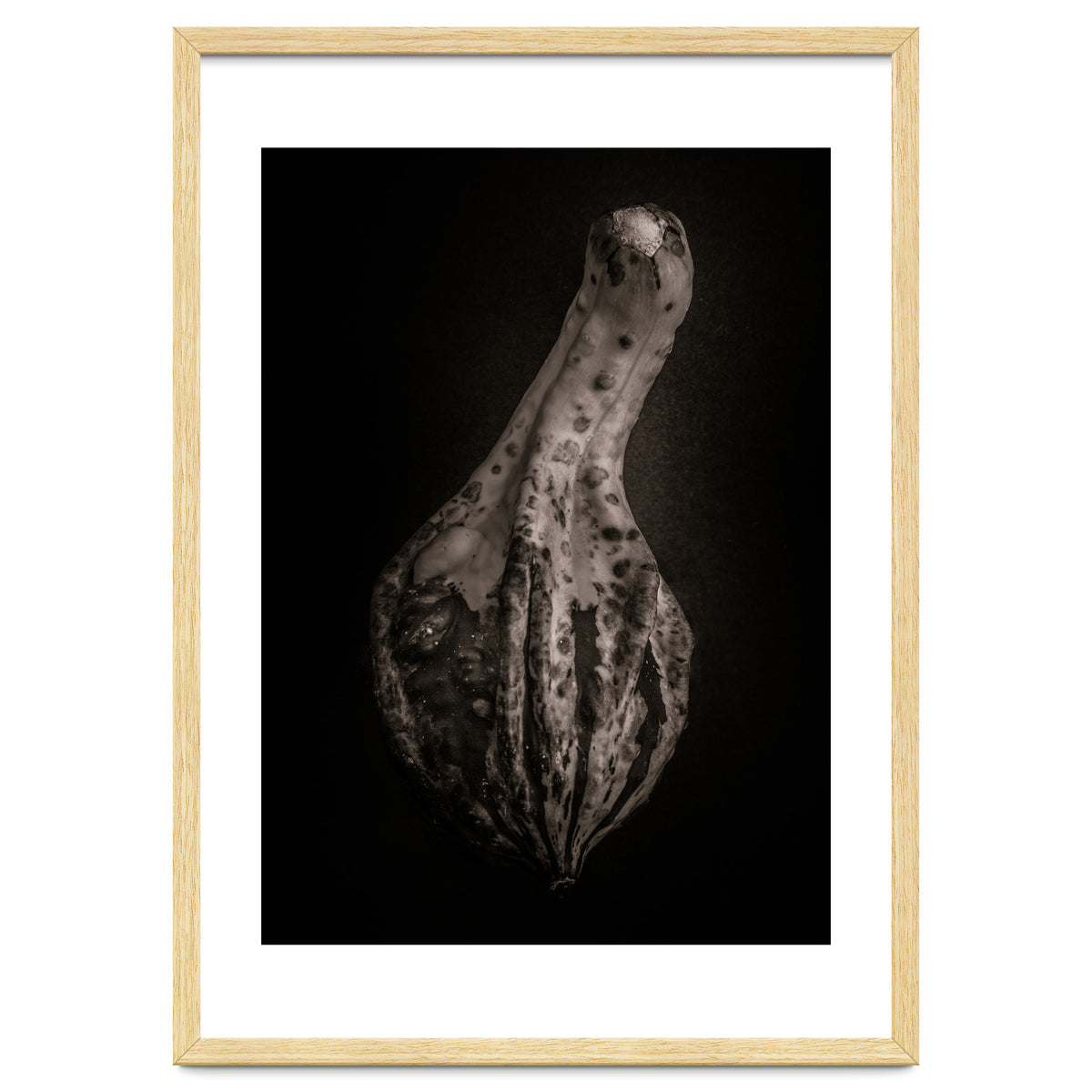 Gourds No 3