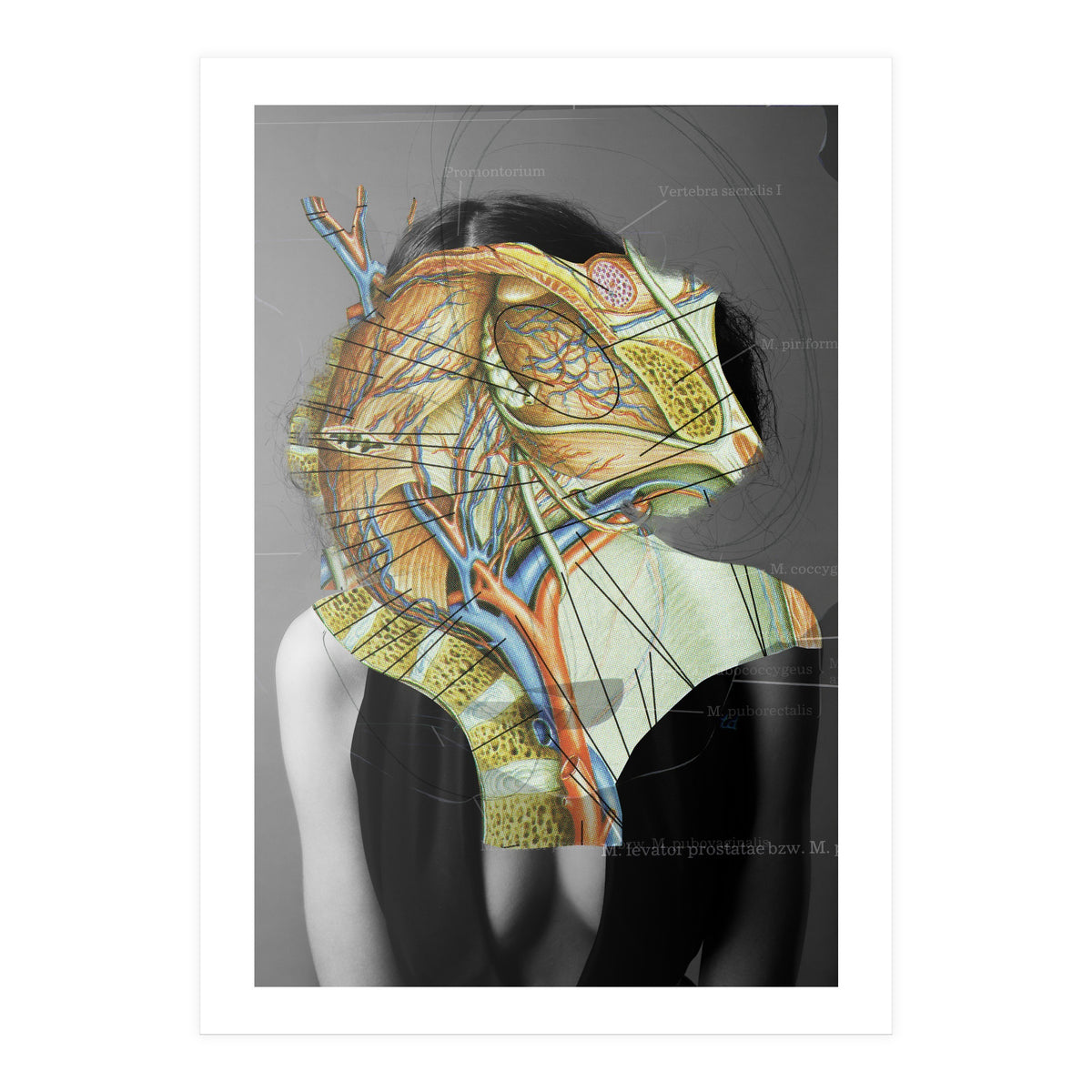 Crazy Woman 210 (Print Only)