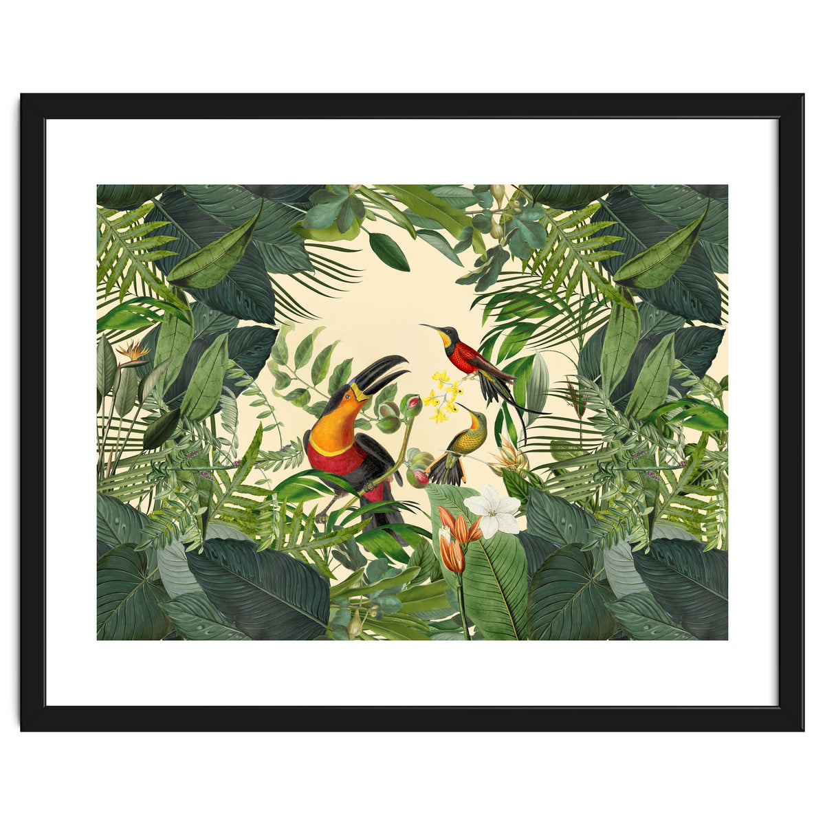 Green Jungle Toucans 2