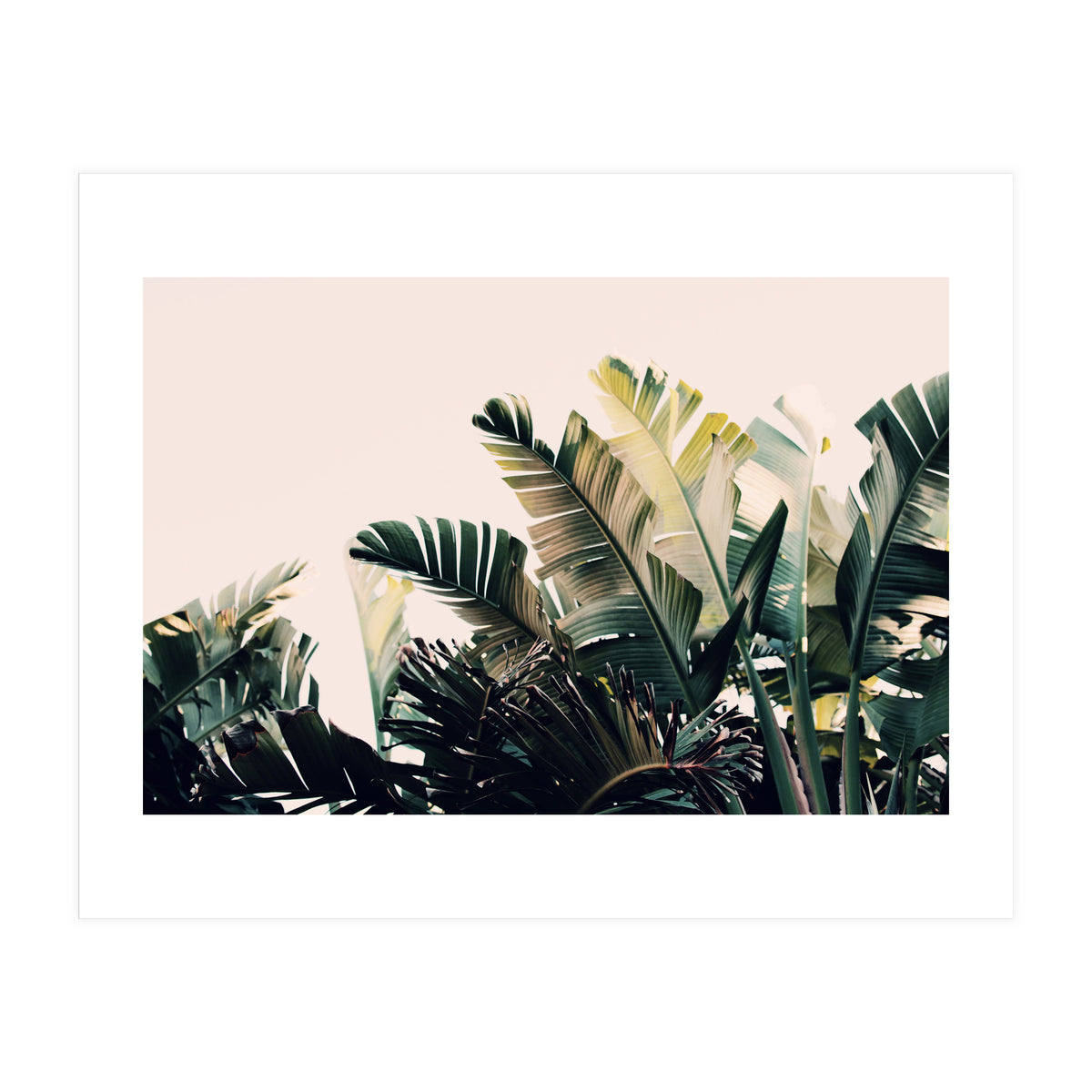 Paradise #4  (Print Only)