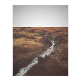 Bleak winter landscape of Saddleworth Moor  (Print Only) thumbnail