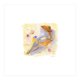 Old Shell (Print Only) thumbnail