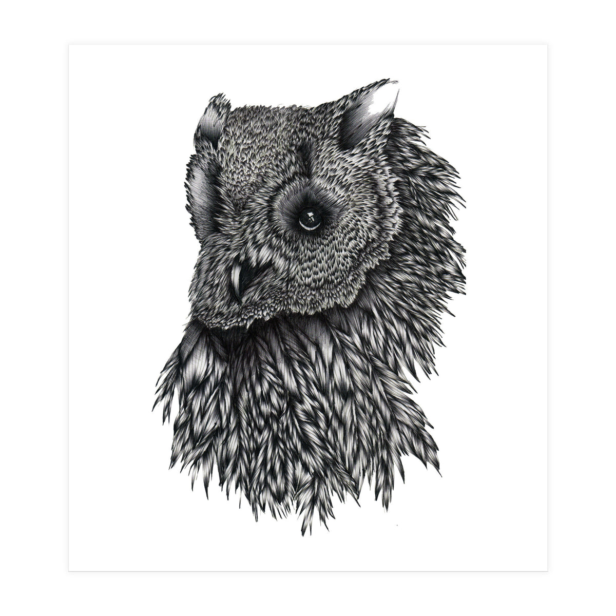 Forsythe (Print Only)