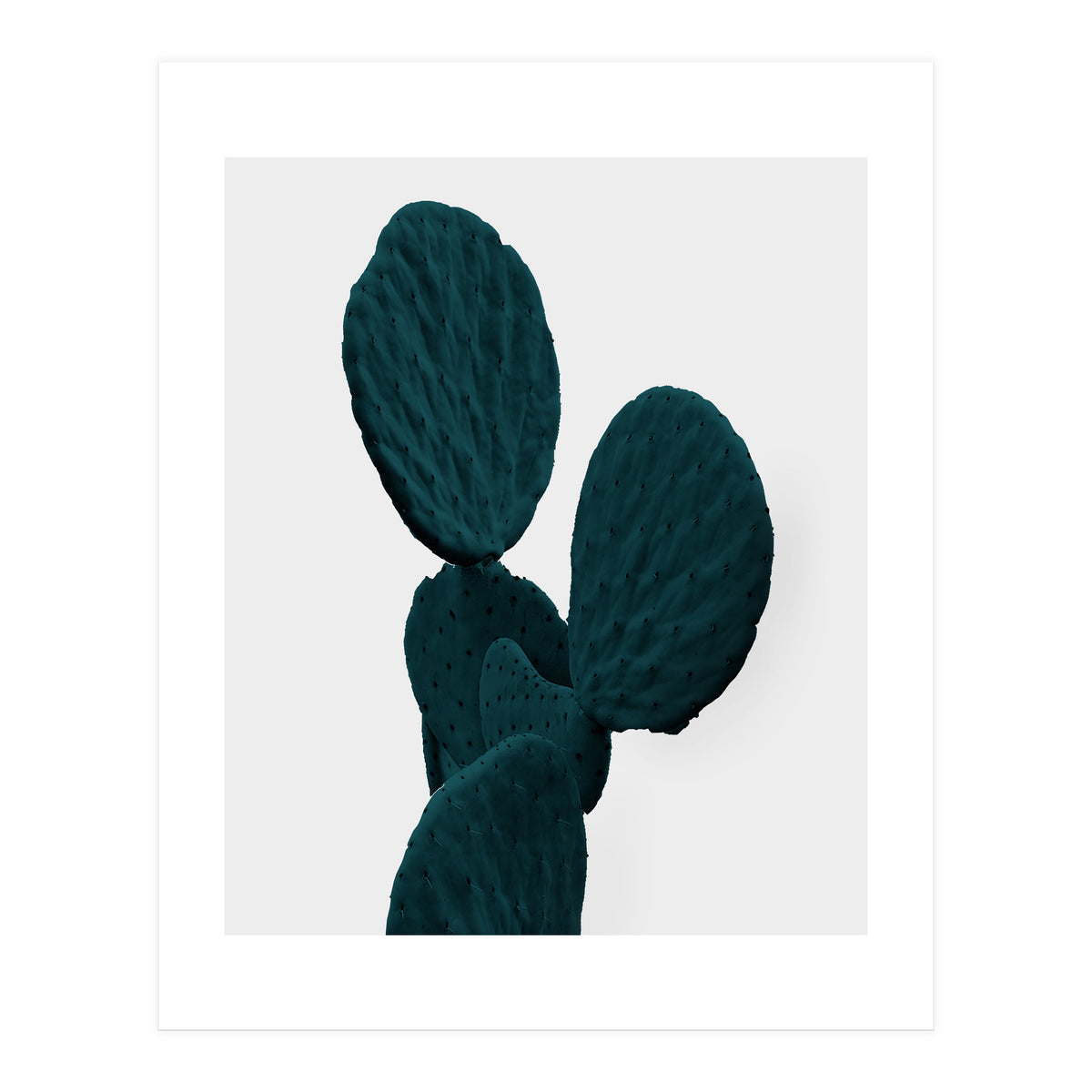 Cactus Art (Print Only)