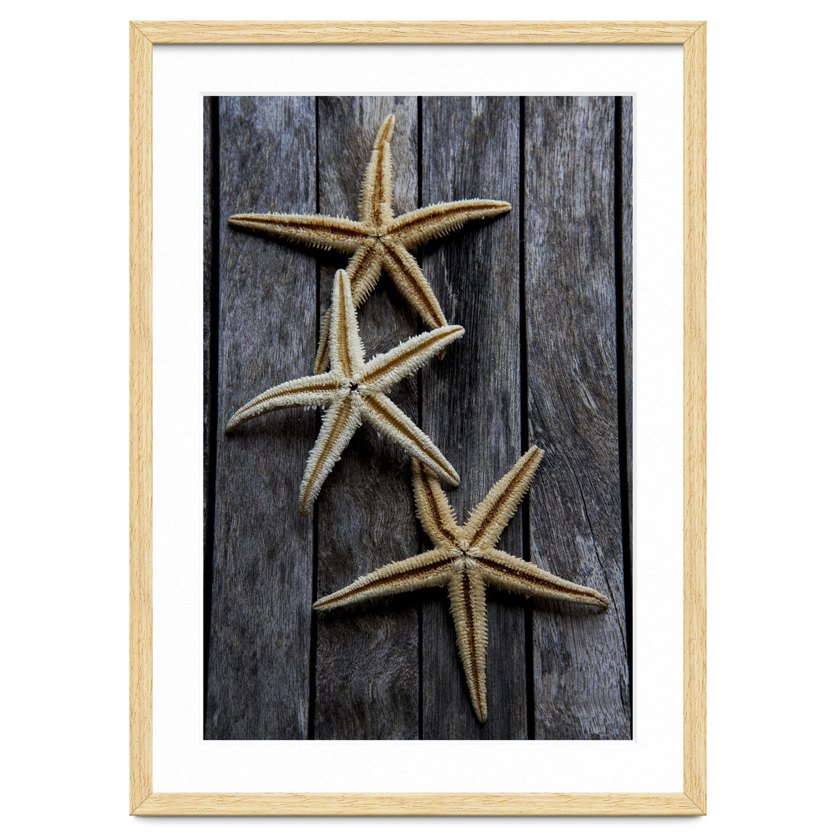 Starfishes in wooden
