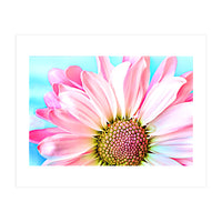 PInk Dahlia (Print Only)