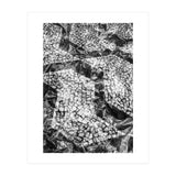 Sampa I (Print Only) thumbnail