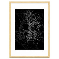 Spiderweb No 4