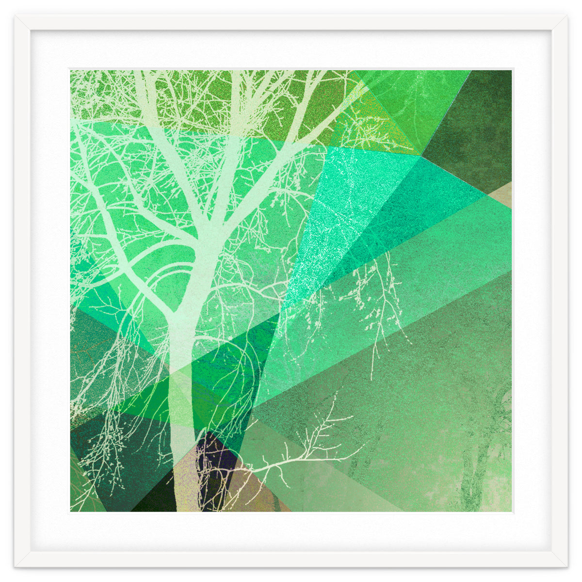 P22-B3 Trees And Triangles