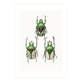 Cc Insects 04 (Print Only) thumbnail