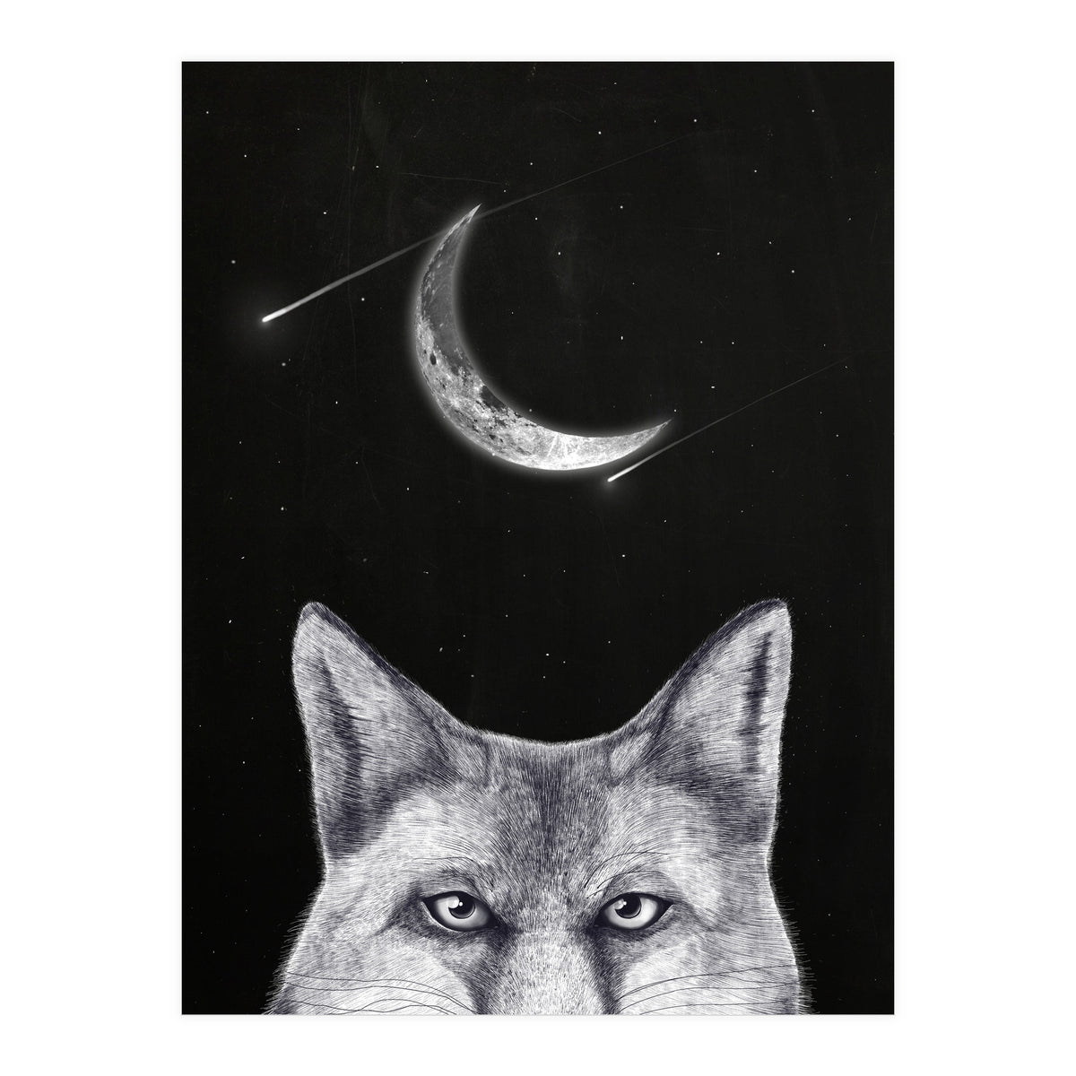 Fox Of The Night (Print Only)