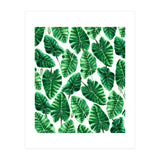 Taro (Print Only) thumbnail