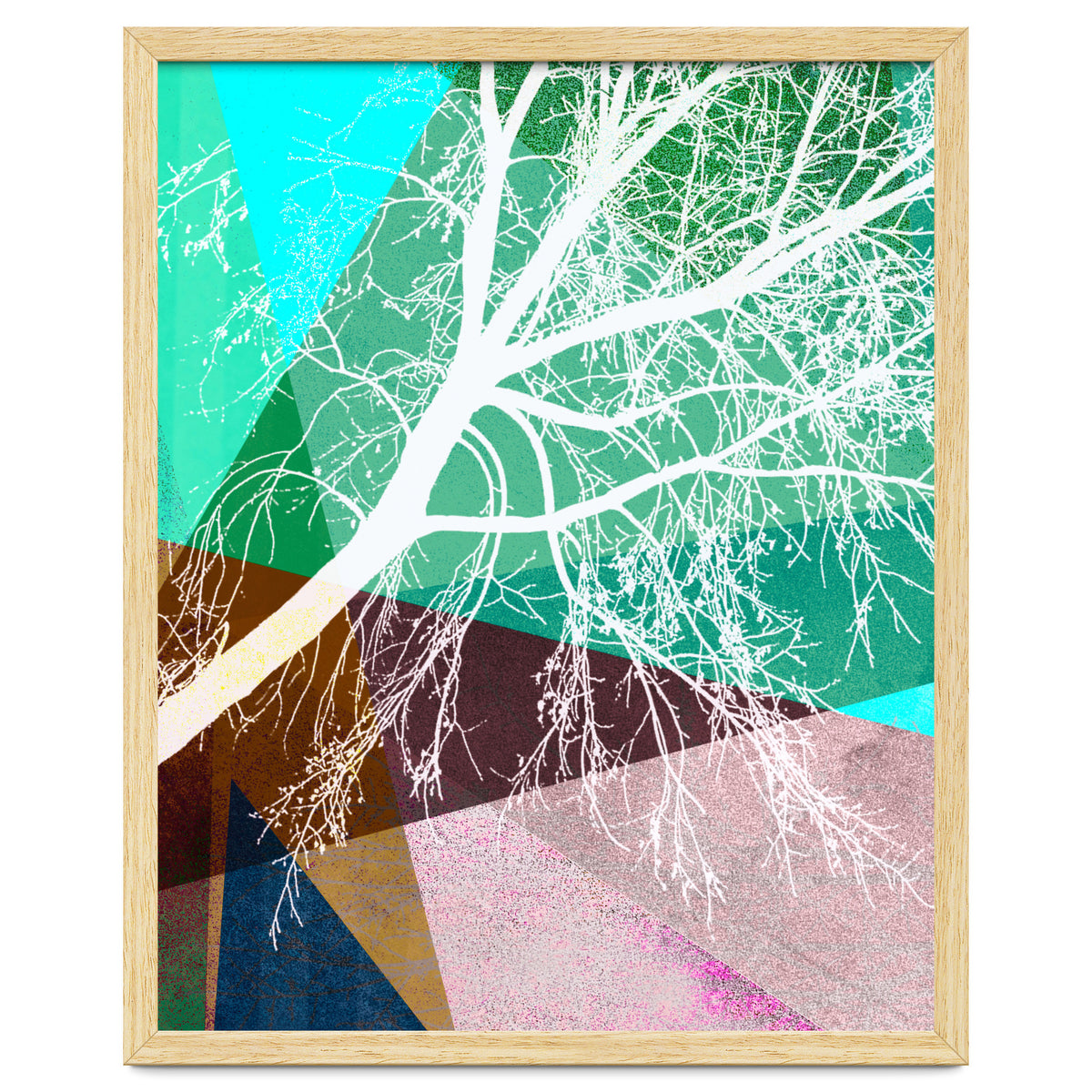 P16-H Trees And Triangles