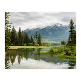 Nature (Print Only) thumbnail
