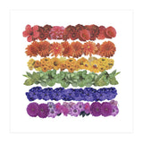 Pride (Print Only) thumbnail