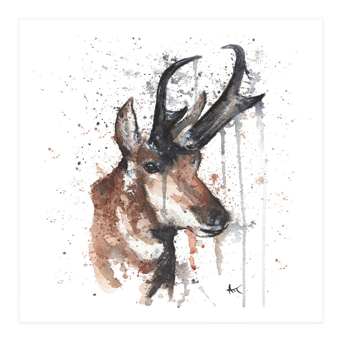 Red deer - Wildlife Collection (Print Only)