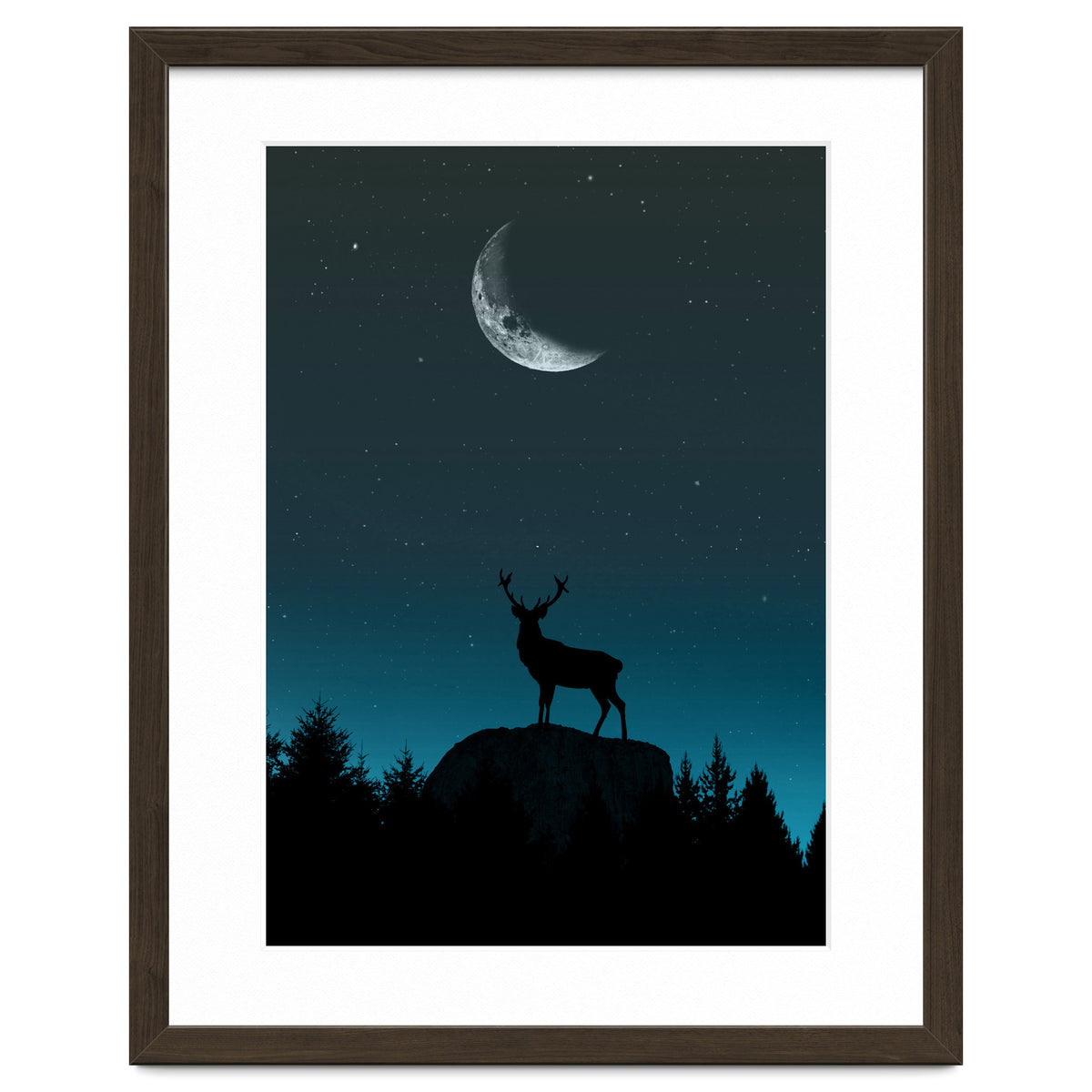 Wild Nature - Nocturne