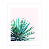 Agave Love (Print Only) thumbnail