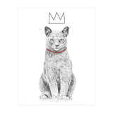 King Of Everything (bw) (Print Only) thumbnail