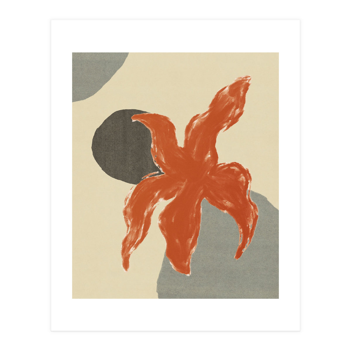 Wobbly Sea Star On Rocks \\ Abstract Composition (Print Only)