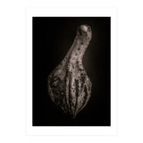 Gourds No 3 (Print Only) thumbnail