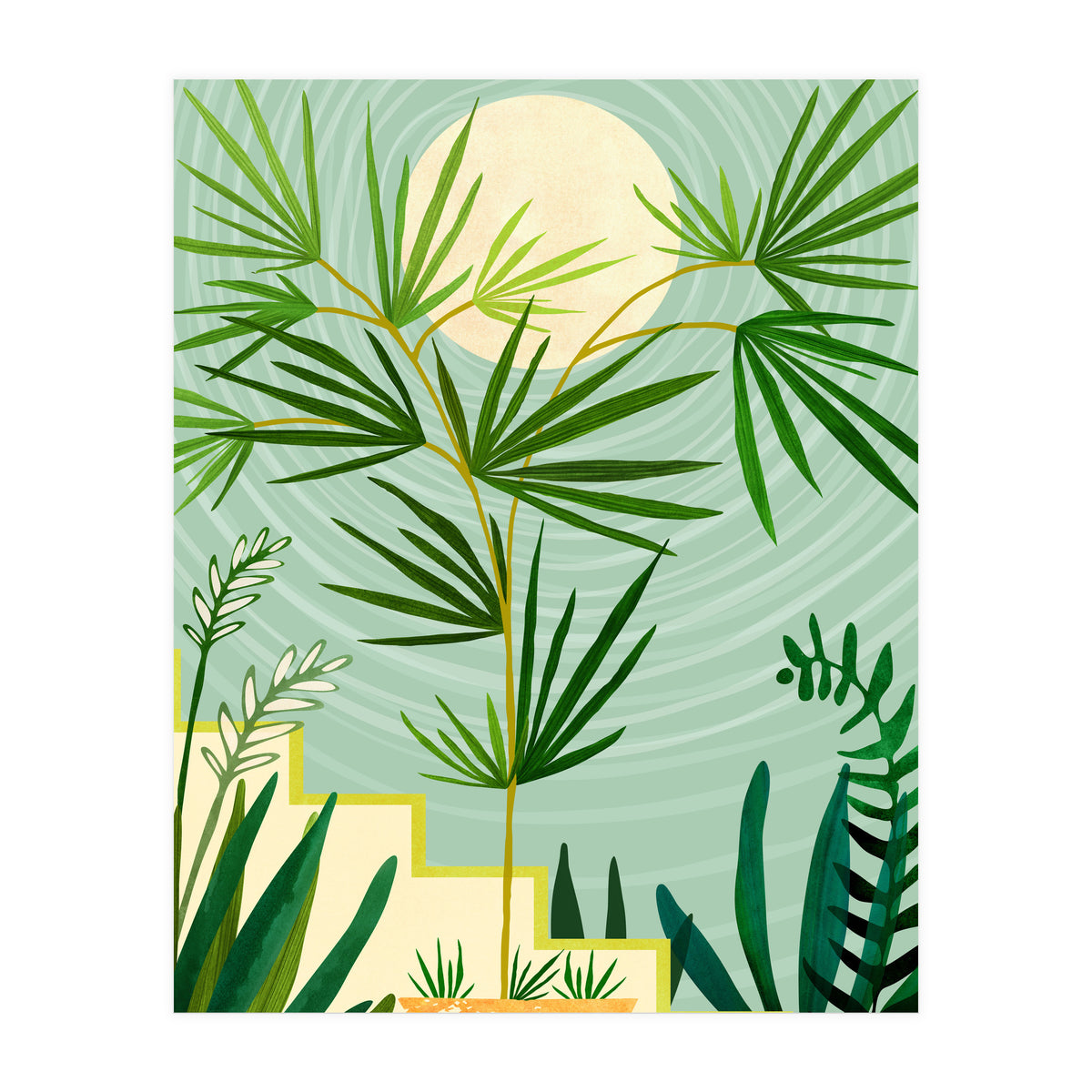 Spring Desert Night (Print Only)