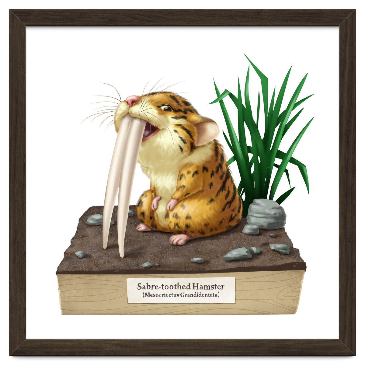 Saber-toothed Hamster