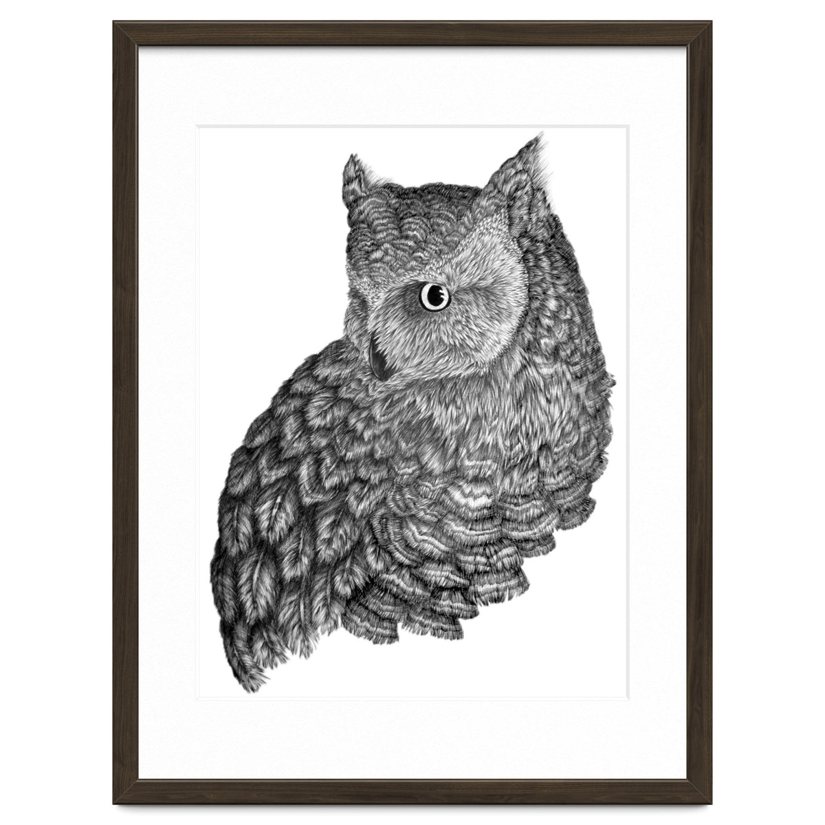 A Friend For Forsythe