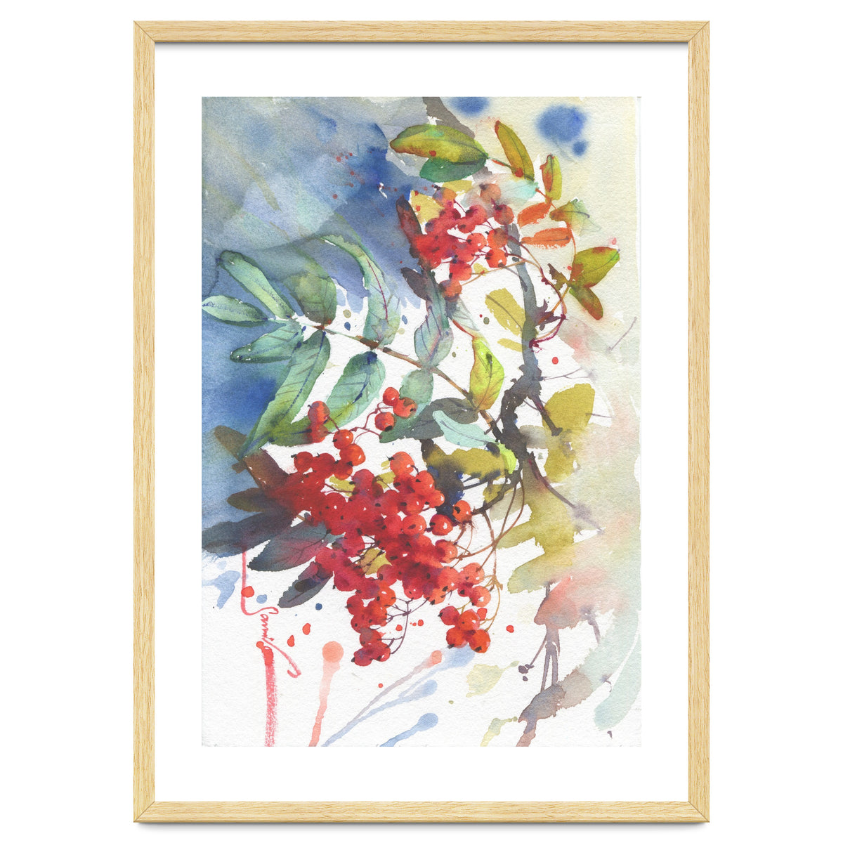 Viburnum / Guelder rose