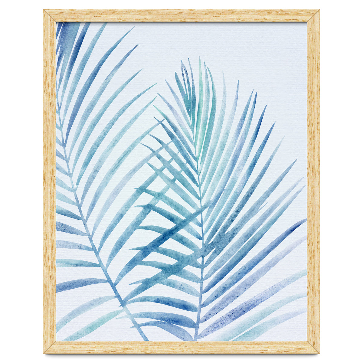 Coastal Palm Fronds