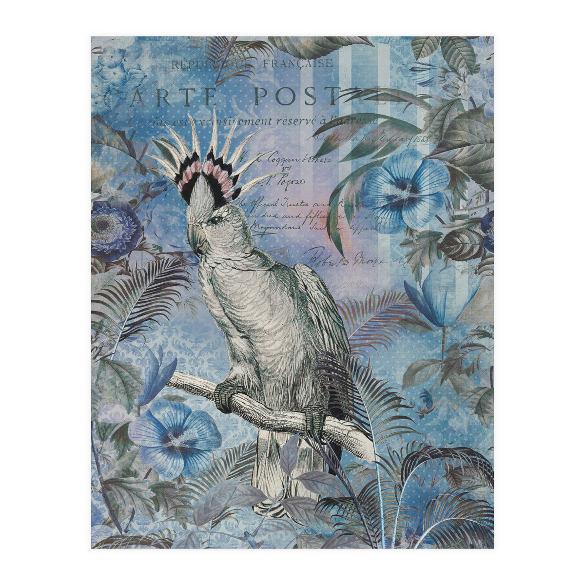 Jungle Cockatoo Blue (Print Only)