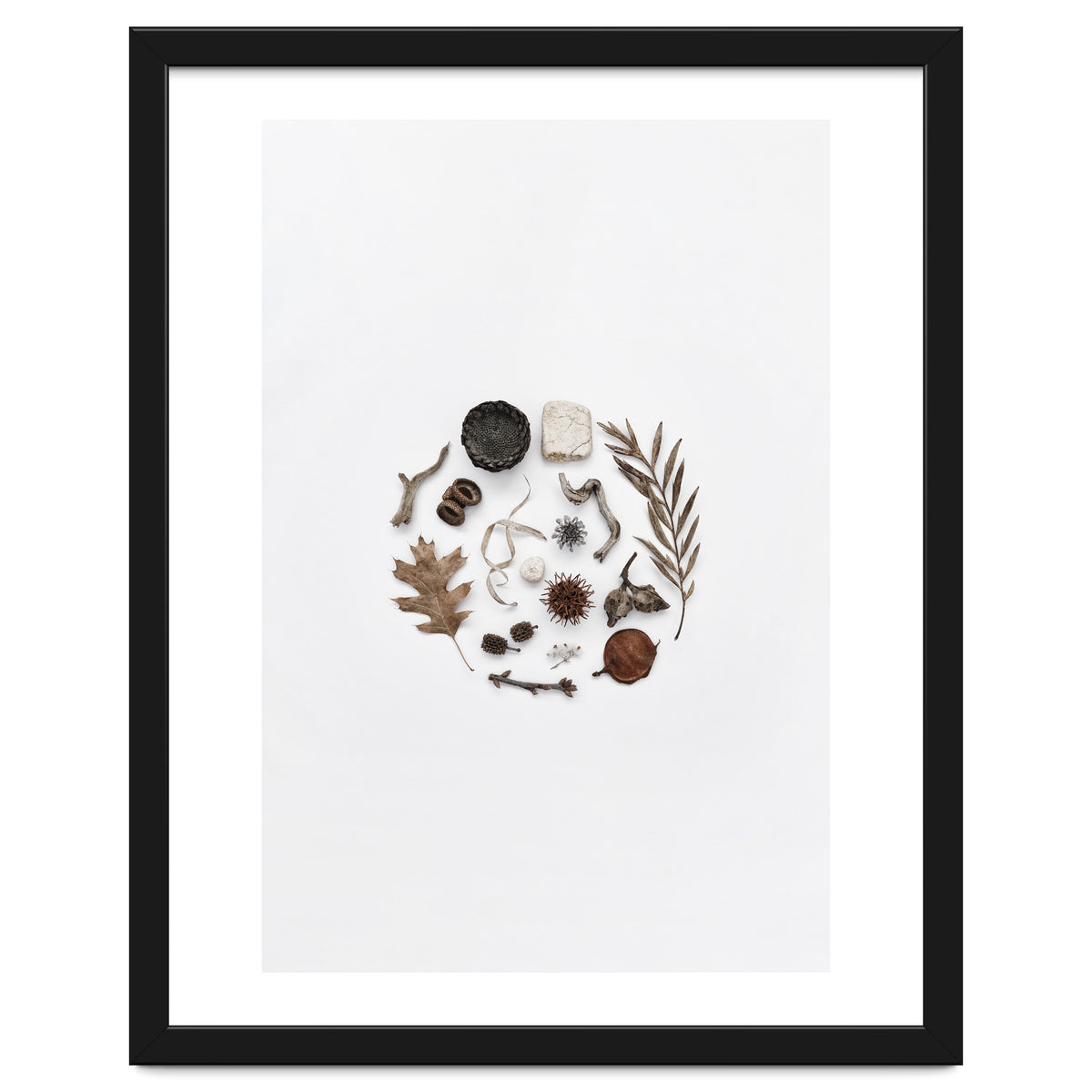 Treasures From Nature No. 2