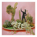 The Wonders Of Cactus Island (Print Only) thumbnail