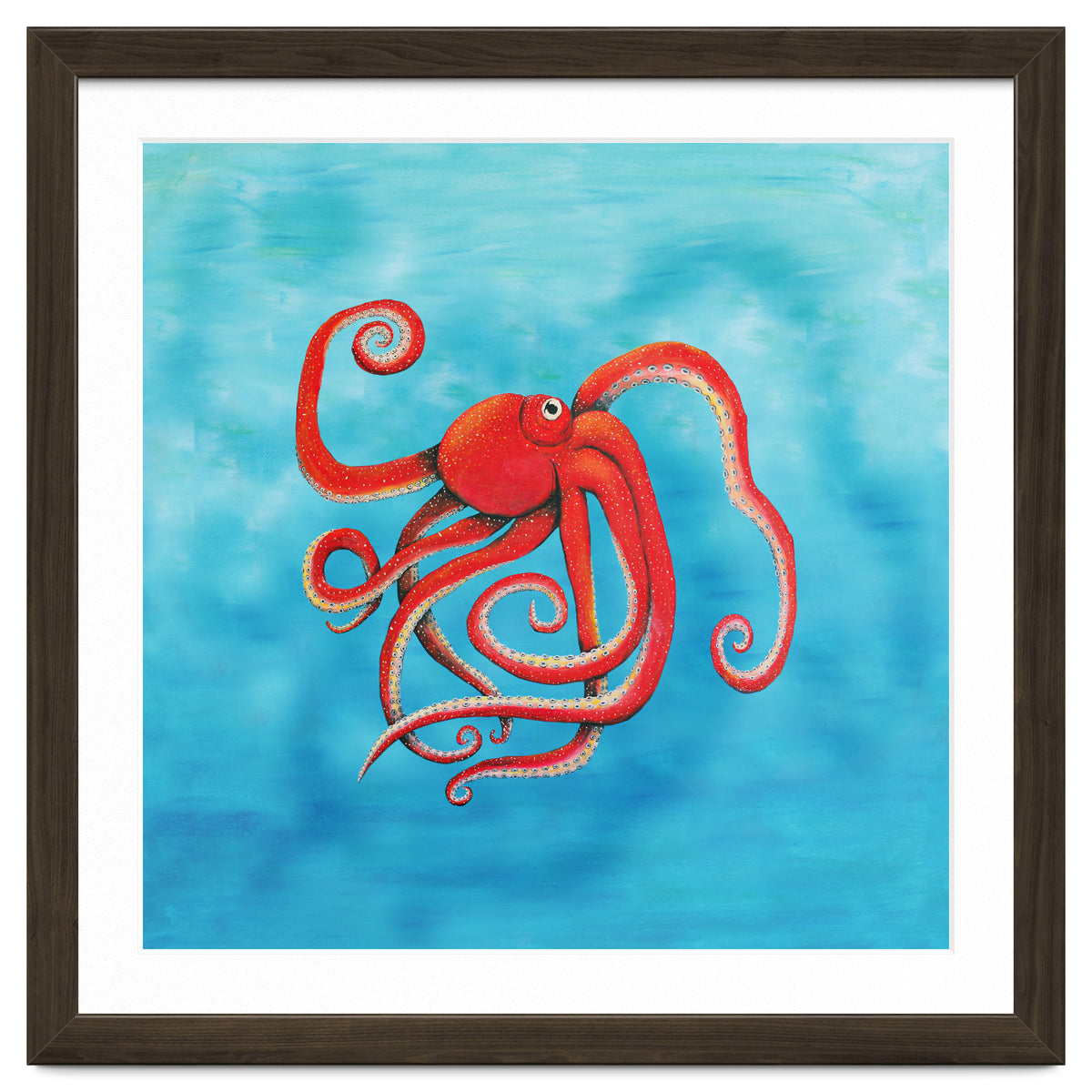 Octopus