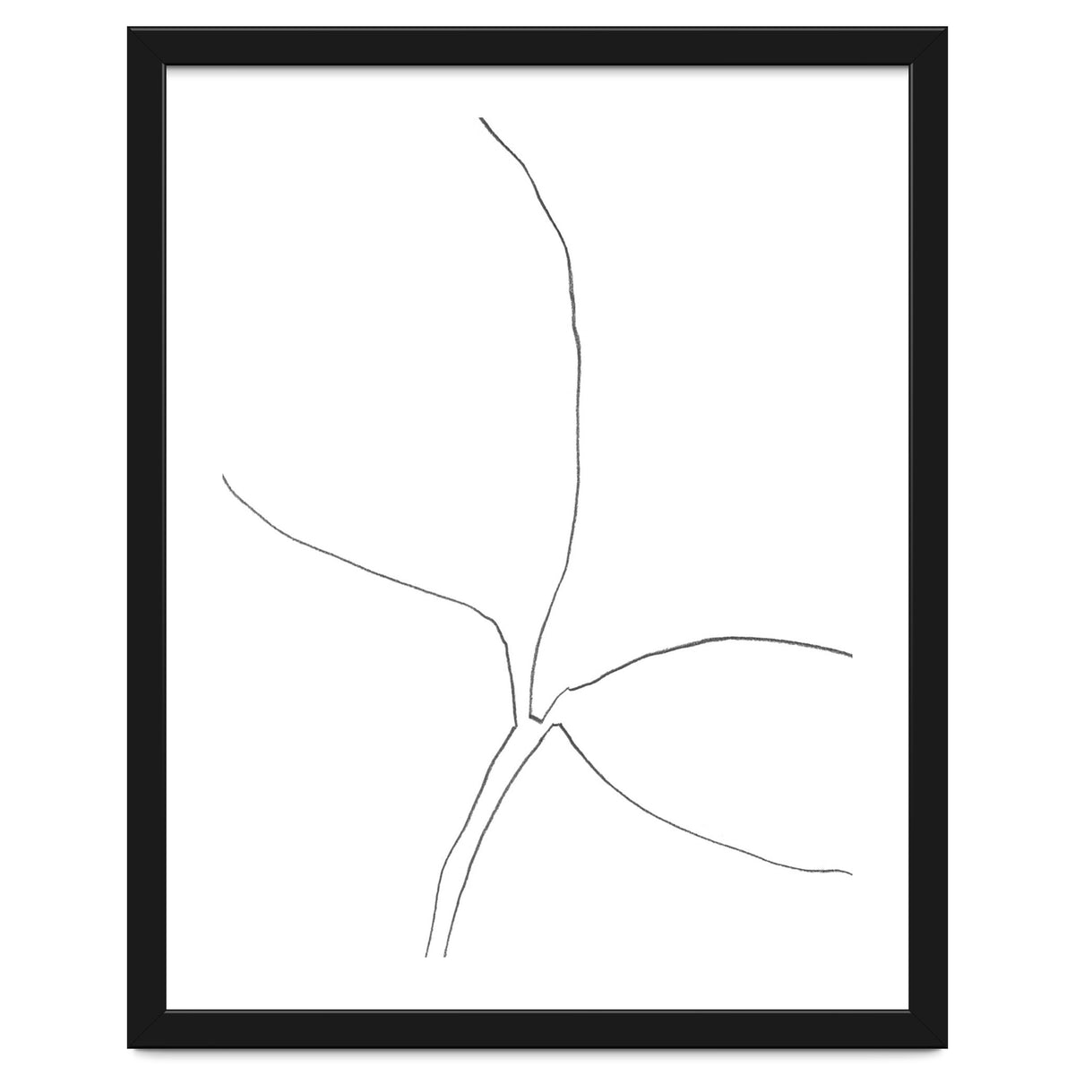 Seedling Leaning Right