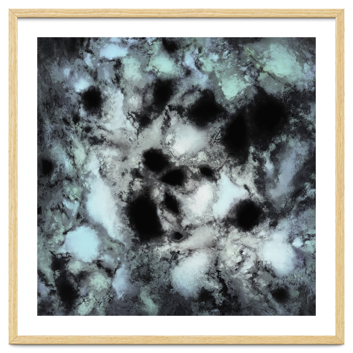 Searching For Animal Tracks