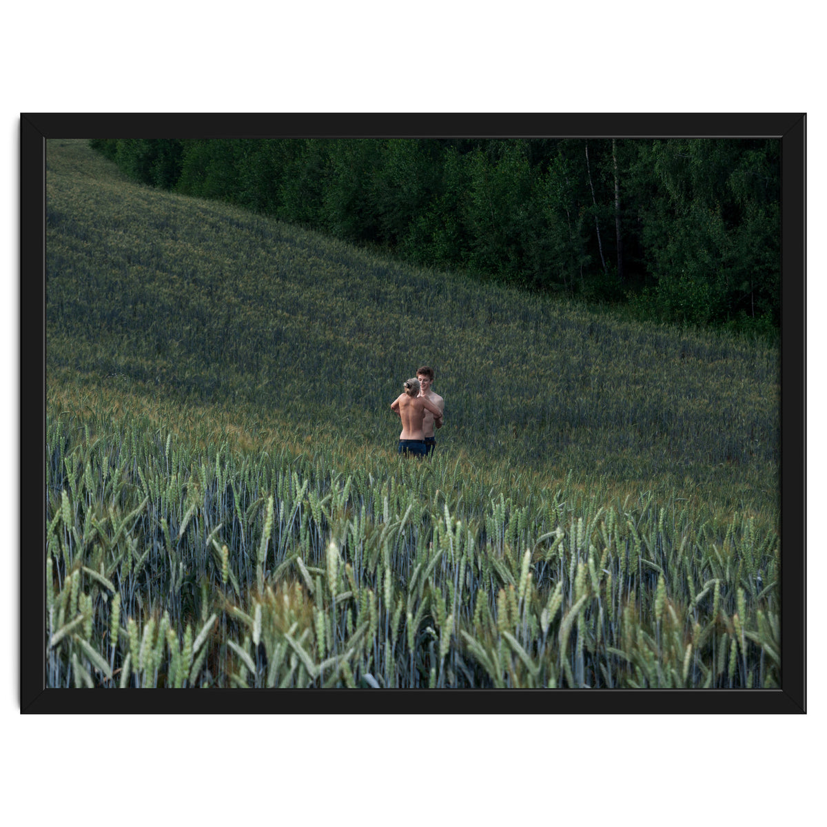 The kids Are all Wild