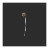 Simple Golden Botanical - Square (Print Only) thumbnail